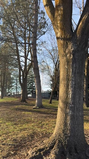 Finding the perfect auto loan isn’t easy… that’s why Canopy Credit Union offers auto loans that do more for you. 💚Even better, Canopy’s current auto loan special includes perks like rates as low as 4.49% APY, 1% cashback up to $500, and 90-payment free days when you refinance your loan to Canopy. 🌱Looking to refinance your boat or RV loan? For a limited time, they’re included with rates as low as 6.74% APR! 🛥️ Tap the link in our bio to get started! #spokane #autoloan #canopycreditunion #here