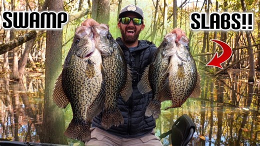 Amazing secret location yields giant slab crappie in swamp
