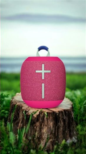 Ultimate Ears Wonderboom 4