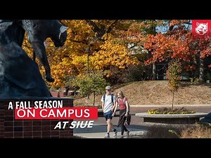 A Fall Season of Cougars on the campus of Southern Illinois University Edwardsville