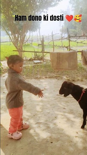 Hamari dosti aapke sath ❤️😍# Animal love# short # video viral #viralreels #trendingst