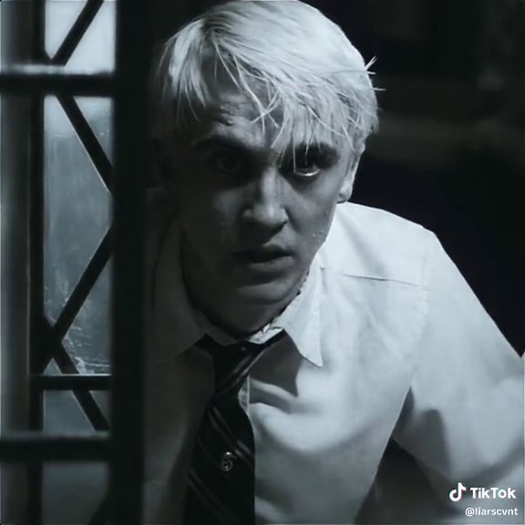 Drarry - The Ultimate Harry Potter Obsession | Fan Video Compilation