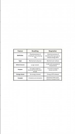 Difference between Breathing & Respiration 🫁👃🔋