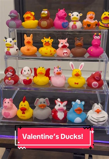 Valentine's Day Duck Unboxing: Find Your Favorite Toy