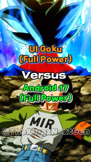 Ui Goku vs Android 17