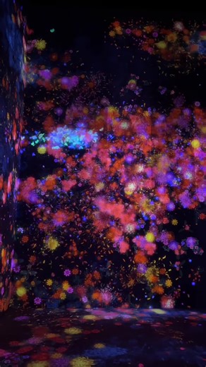📍Tokyo, TeamLab Borderless #japan#tokyo#art#museum #teamlab
