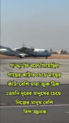গা'দ্দা'ফি বলে গিয়েছিল