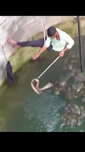 How to catch cobra snake use hands - in well. Watch more: https://www.facebook.com/groups/148320598151013 | Trust Air Travels