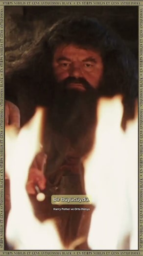Rubeus Hagrid Kimdir? #rubeushagrid #hagrid #harrypotter #hogwarts #gryffindor #keşfet