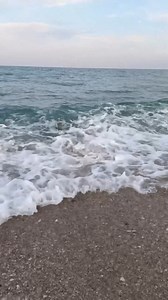 Droning out baits with the Swellpro Fisherman Max FD2, then we got some amazing things on! 🦈 @Jacob Steckerl | Swellpro