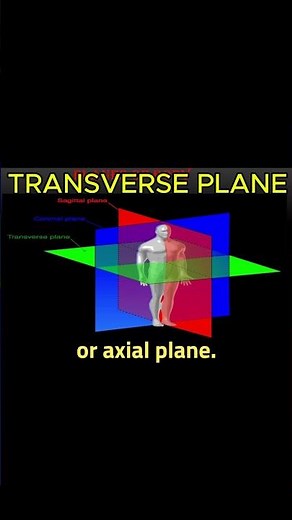 Transverse Plane Made Easy ⚡ #anatomy #biology #medicalschoolcommunity #mbbs #nursingstudents