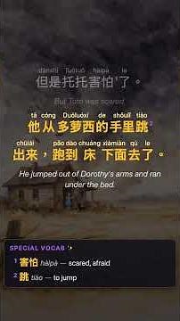 龙卷风来了! Wizard of Oz in Chinese (HSK2) · Snippet