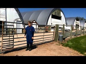 Alternative Swine Biosecurity: Tips for Hoop Barns and Open Areas
