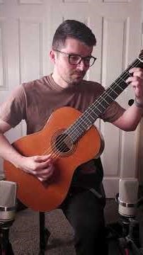 Able Sisters (Animal Crossing) on Guitar