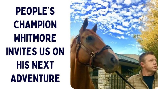 Racehorse Retirement Planning: People's Champion Whitmore Invites Us On His Next Adventure