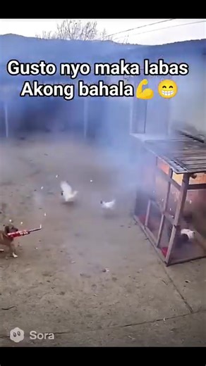 Ayos ka doggie 😂😅 | Smiling cute