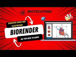 Master BioRender: Ultimate Guide to Stunning Scientific Visualizations! 🎨