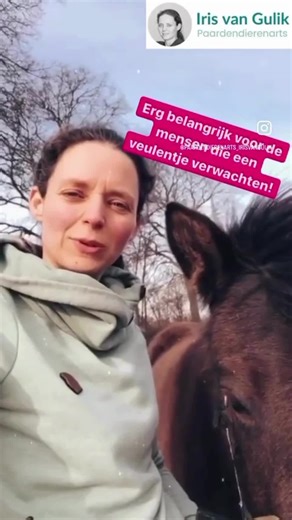 ‼ Het is erg belangrijk dat je merrie gewend is aan aanraking van het uier! 👩‍⚕ Dit voorkomt problemen als je veulentje geboren is, in deze reels leg ik jou uit hoe je je merrie kunt laten wennen aan het aanraken van het uier! 💪🏻 Oefen jij dit al met je merrie? Laat het mij weten in de comments! ⁉ Wil jij precies weten wat je wel en vooral NIET moet doen als je veulen geboren wordt? Download dan mijn gratis veulen checklist. Reageer onder deze post met VEULEN1 en ik stuur je meer info toe. #m