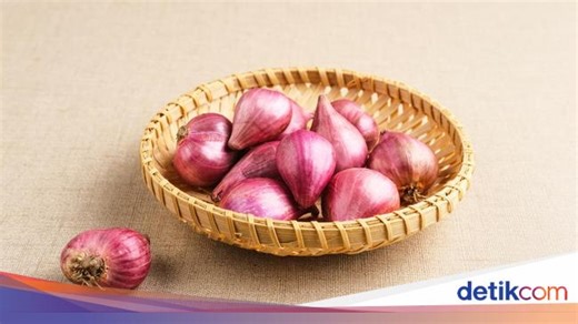 Cara Menanam Bawang Merah dari Biji sampai Panen dan Tips agar Cepat Tumbuh