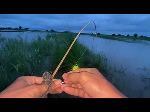 Unbelievable Hook Fishing Skill — You Won’t Expect This!