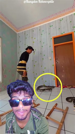 sap sidhi se ase kon khelta hai yar #shorts #ytshorts #facts