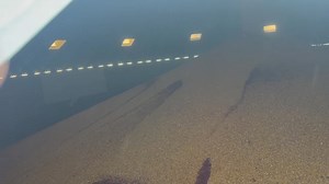 34K views · 168 reactions | Filling the bins up at County line! Easy to dump with a pit and a leg taking the grain up to bin. The moisture of the corn is 14-16% Good moisture for the cows. | County Line Dairy | Facebook