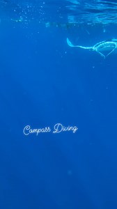 During the whale tour, my team had an amazing experience full of learning, laughter, and shared curiosity. As an unexpected surprise, they even got the rare chance to encounter manta rays—something hardly seen these days. Yet, seeing the ocean so filled with garbage was a stark reminder of the environmental challenges we face. I hope that in the future, effective solutions—whether through government action or community initiatives—will help protect and preserve our oceans. Moments like these mak