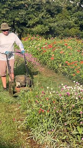 6.8K views · 490 reactions | Sometimes a patch of flowers just needs...