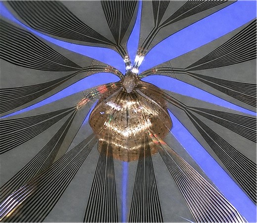 Pop-up-style 3D electrode array captures organoid-wide brain rhythms in real time