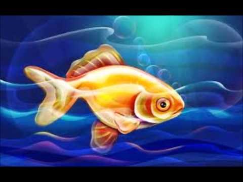 Children's Story - The Golden Fish