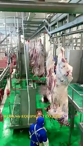 Abattoir Plant 100 Cattle Halal Humane Beef Slaughter Machine Cattle Slaughterhouse Machine