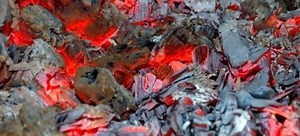 How to Use Firewood Ash as Fertilizer | DoItYourself.com