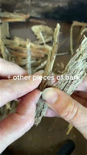 Artist creates a tree trunk with bark and acrylic paint