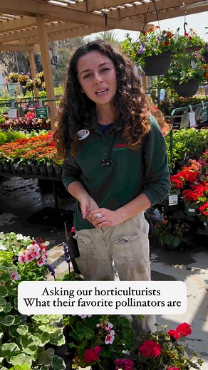 4.1K views · 46 reactions | What’s your favorite pollinator? 列曆 it’s...