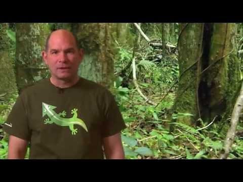 HHMI Educator Tips -- Lizards in an Evolutionary Tree