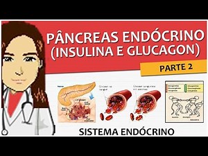Endocrine System 09- Endocrine Pancreas- Physiology (insulin and glucagon) - Video lesson