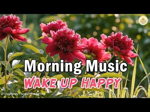 Morning Bliss - Relaxing Rhumba Cha Cha Guitar Instrumental Melodies - Brighten Your Day