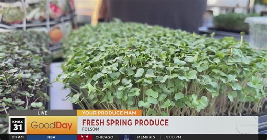 Your Produce Man - Fresh Spring Produce, Flowers and Microgreens!