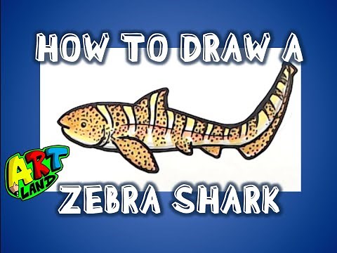 How to Draw a ZEBRA SHARK