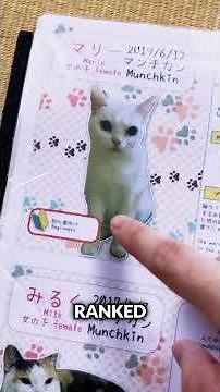 Kind of a sus arrangement