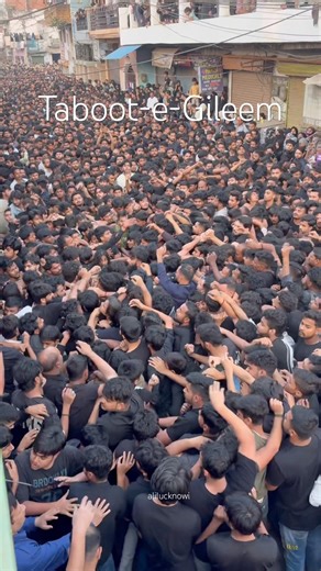 19 Ramzan Lucknow Taboot-e-Gileem Shahadat Imam Ali a.s #19ramzanstatus #yaali #gileemwalataboot