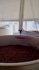 This ingenious bit of kit is a custom-built plunging system. As red grapes ferment, their skins and seeds rise to the top, forming what's known as the cap. To extract deep colour, rich flavour, and firm tannins, that cap needs to be gently plunged back into the juice, that’s where this system comes in. Mounted on rails and operated from a raised catwalk, it allows the Seifried winemaking team to manage fermentations with precision, consistency, and safety. 🎥@seifriedestate . . . . . #thewinecra