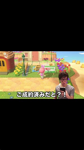 たぬきちへのリクエストと島作りの旅