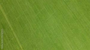 Concept of growing crops on agronomic farm and gain benefits from production Stock Video