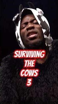 Surviving The Cows: They Took My Suitcase