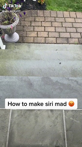How to make siri mad 😡 #closeyourrings #showurgrillskillz #splashsummervibe #biginkenergy #fyp #foryoupage #foryou #fy #fypage #viral