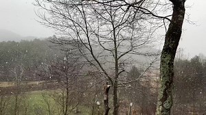 9.7K views · 587 reactions | John Downs sent me this video from Valle Crucis today near Boone. Some beautiful big snowflakes! | Meteorologist Tim Buckley | Facebook