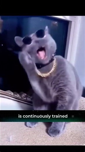 AI Poker Bot in Action!