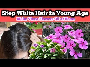 How to grow Vinca Plants | Sadahbahar | Benefits of Vinca Flowers | Periwinkle