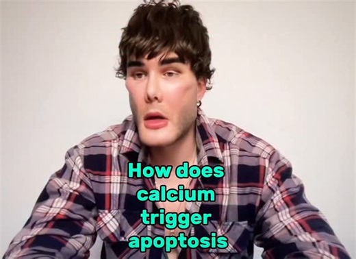 mehlmanmedical.com on Instagram: "“How does calcium trigger apoptosis?” #mehlman_medical #mike_mehlman #usmle #usmlestep #usmleprep #usmlestep1 #usmlestep2 #usmlepreparation #usmlejourney #usmlemotivation #cbse #cbseboardexam #step1 #step2ck #step3 #medstudent #medstudentlife #medical #medicalschool"